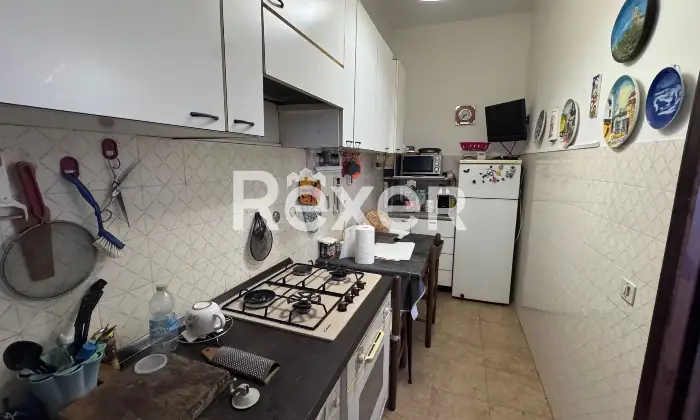 Rexer-Alessandria-Appartamento-luminoso-con-cantina-Altro