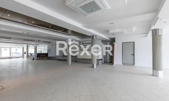 Rexer-RIMINI-Locale-per-lintrattenimento-con-licenze-Altro