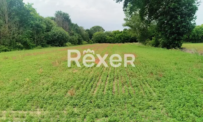 Rexer-Fiesso-Umbertiano-Rustico-in-vendita-in-Via-Carpana-a-Fiesso-Umbertiano-Altro