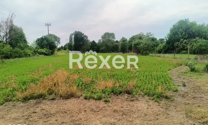 Rexer-Fiesso-Umbertiano-Rustico-in-vendita-in-Via-Carpana-a-Fiesso-Umbertiano-Altro