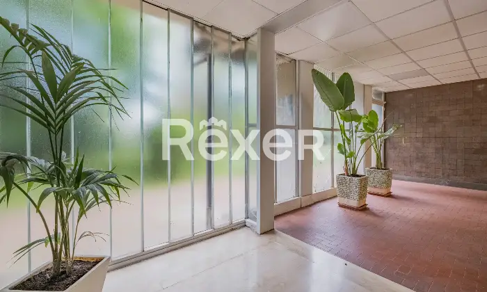Rexer-Roma-Appartamento-in-Via-Carlo-Zaccagnini-Altro