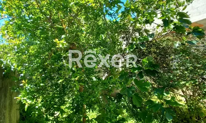 Rexer-PresicceAcquarica-Fabbricato-indipendente-allo-stato-rustico-Altro