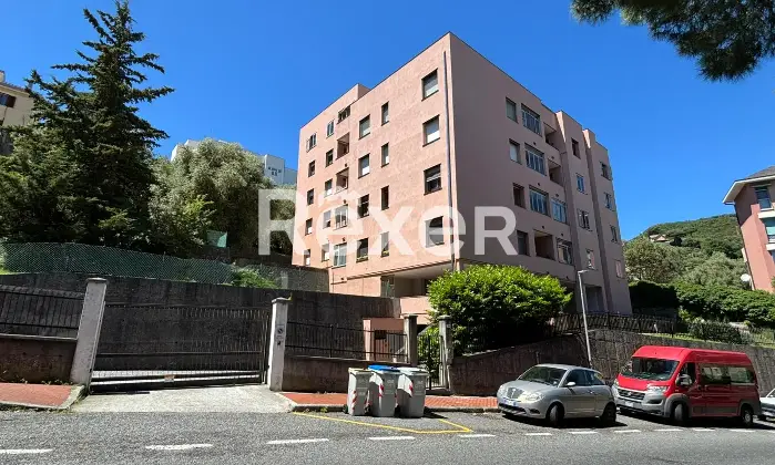 Rexer-Savona-Ampia-metratura-con-terrazza-pauto-e-cantina-Altro