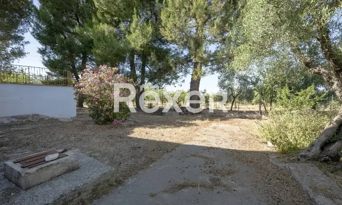 Rexer-Andria-Villa-in-vendita-in-Contrada-Lama-di-Carro-co-Cugno-di-Volpe-Altro