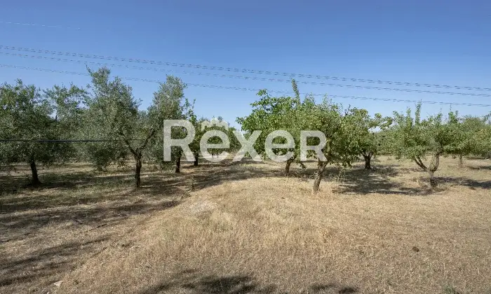 Rexer-Andria-Villa-in-vendita-in-Contrada-Lama-di-Carro-co-Cugno-di-Volpe-Altro
