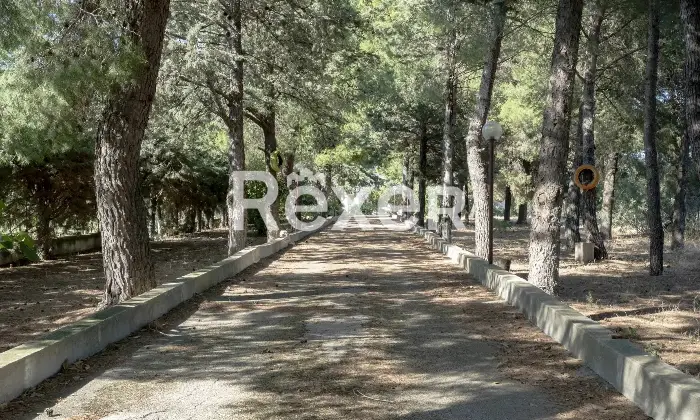 Rexer-Andria-Villa-in-vendita-in-Contrada-Lama-di-Carro-co-Cugno-di-Volpe-Altro