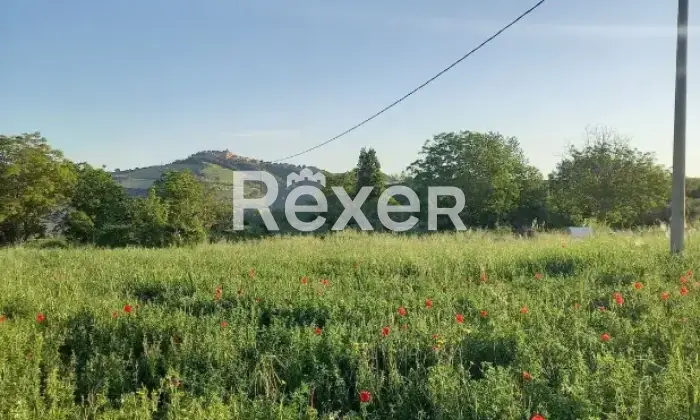 Rexer-Rotella-Propriet-rustica-in-vendita-in-Contrada-Torbidello-a-Rotella-Altro