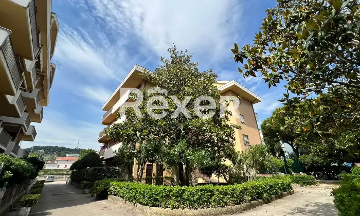 Rexer-FRANCAVILLA-AL-MARE-Mansarda-luminosa-con-terrazze-e-studio-a-pochi-passi-dal-mare-Altro