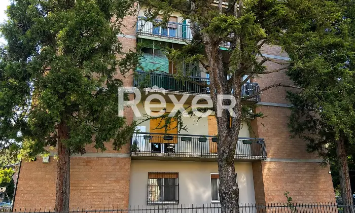 Rexer-Reggio-Emilia-Appartamento-con-box-e-cantina-Altro