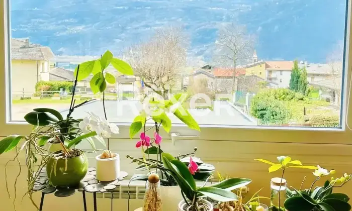 Rexer-Talamona-Appartamento-in-vendita-in-Via-San-Giorgio-a-Talamona-Altro