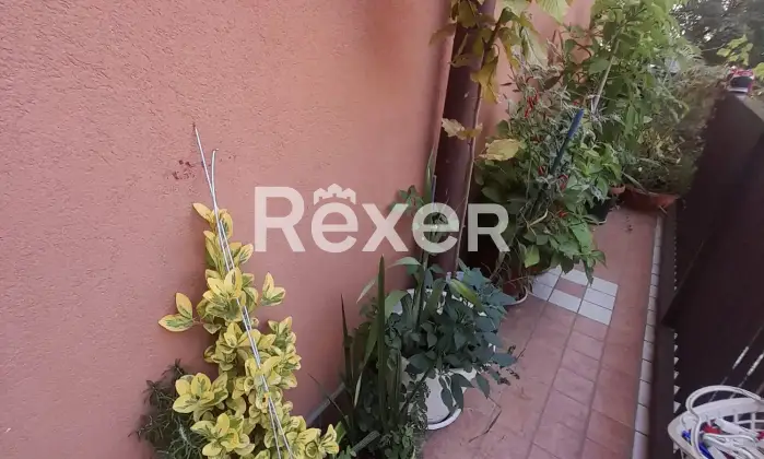 Rexer-Crema-Trilocale-in-vendita-in-Via-Brescia-a-Crema-Altro
