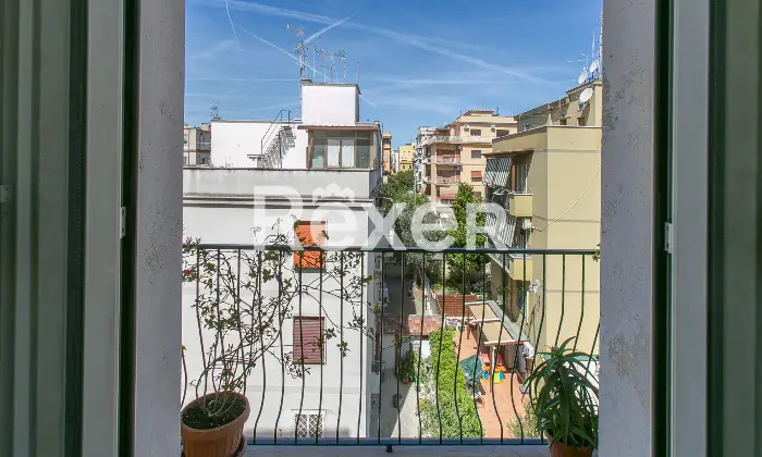 Rexer-Roma-Appartamento-Via-degli-Aceri-Altro