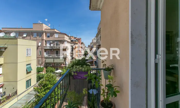 Rexer-Roma-Appartamento-Via-degli-Aceri-Altro