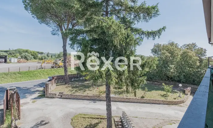 Rexer-Roma-Appartamento-bilocale-a-Roma-Loc-Cesano-Altro