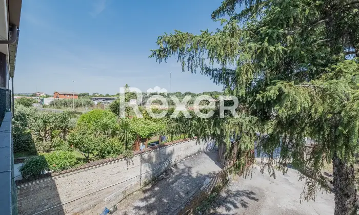 Rexer-Roma-Appartamento-bilocale-a-Roma-Loc-Cesano-Altro