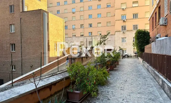 Rexer-Roma-Via-Lucrino-Ampio-monolocale-Altro
