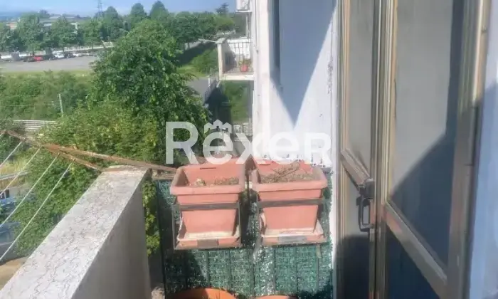 Rexer-Valenza-Trilocale-in-vendita-in-Strada-per-Solero-a-Valenza-Altro