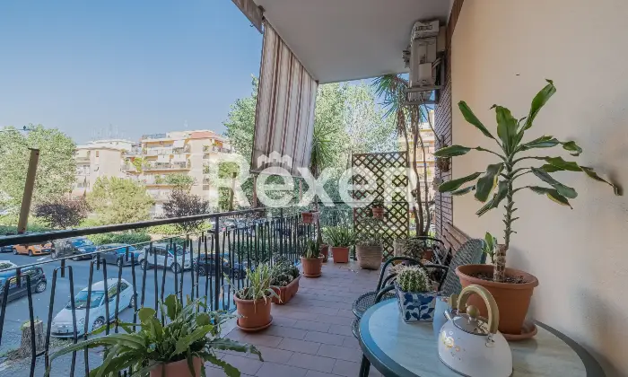 Rexer-Roma-Appartamento-ampia-metratura-con-diritto-di-abitazione-Altro