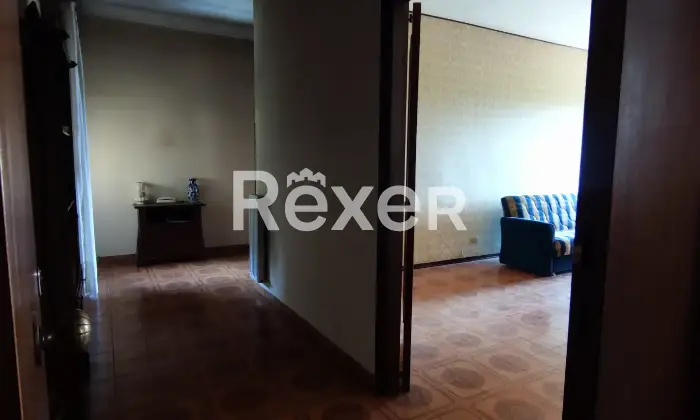 Rexer-Grotte-di-Castro-Ampio-appartamento-con-garage-quadruplo-nel-cuore-di-Grotte-di-Castro-Altro