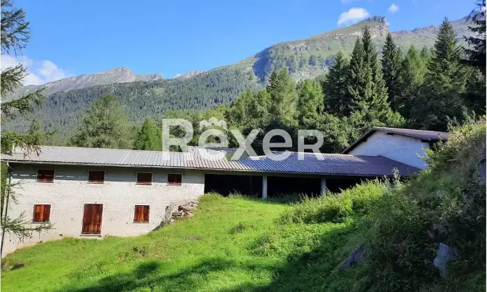 Rexer-Varzo-Rustico-in-vendita-in-Localit-Calaioni-a-Varzo-Altro