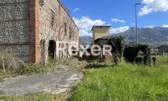 Rexer-Camaiore-La-Fornace-Camaiore-Altro