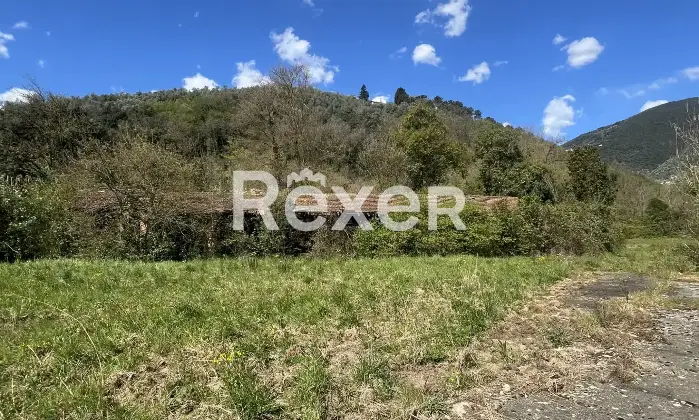 Rexer-Camaiore-La-Fornace-Camaiore-Altro