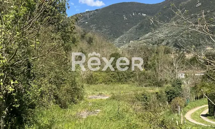 Rexer-Camaiore-La-Fornace-Camaiore-Altro
