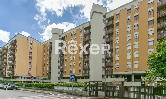 Rexer-Roma-Appartamento-ristrutturato-con-terrazzo-e-posto-auto-Altro
