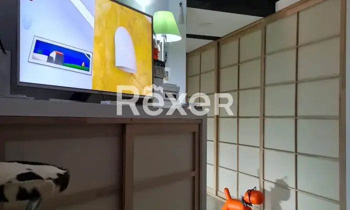 Rexer-Milano-Mansarda-in-vendita-in-Via-Antonio-Grossich-a-Milano-Altro