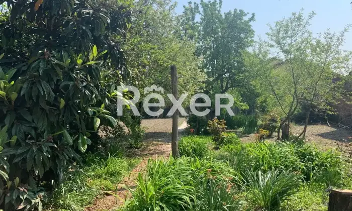 Rexer-Castelnuovo-Scrivia-Casa-indipendente-in-vendita-in-Roma-a-Castelnuovo-Scrivia-Altro