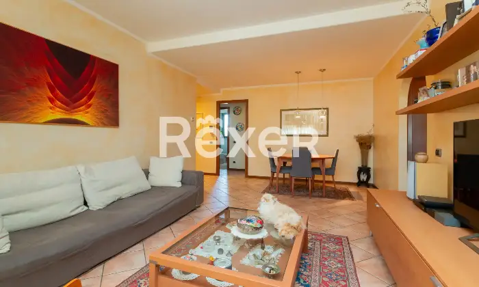 Rexer-Bergamo-Ampio-quadrilocale-con-box-e-tre-balconi-Altro