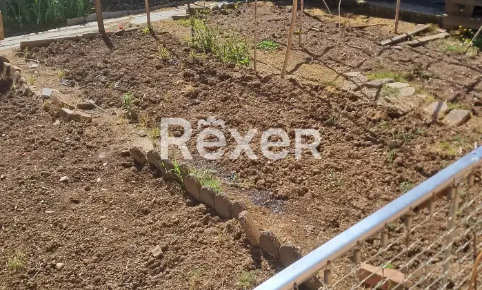Rexer-Borgo-Virgilio-BIFAMILIARE-DI-AMPIA-METRATURA-DA-RISTRUTTURARE-Cortile