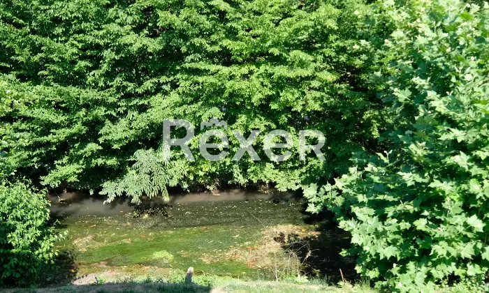 Rexer-Monticello-Conte-Otto-ELEGANTE-VILLA-SINGOLA-Altro