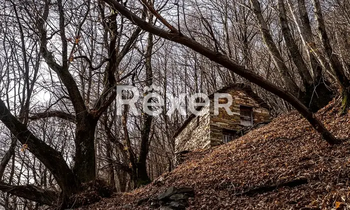 Rexer-Cossogno-Casa-di-paese-in-vendita-in-Via-Pozzolo-Cicogna-Cossogno-Altro