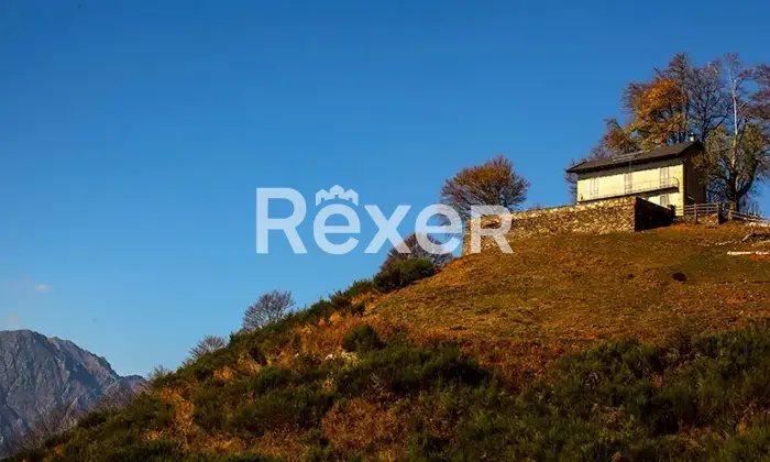 Rexer-Cossogno-Casa-di-paese-in-vendita-in-Via-Pozzolo-Cicogna-Cossogno-Altro