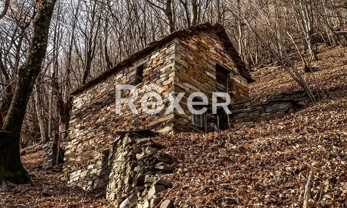 Rexer-Cossogno-Casa-di-paese-in-vendita-in-Via-Pozzolo-Cicogna-Cossogno-Altro