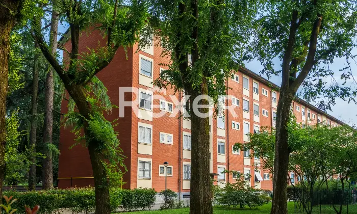 Rexer-Milano-Milano-Ampio-quadrilocale-nel-verde-a-due-passi-dalla-M-Altro