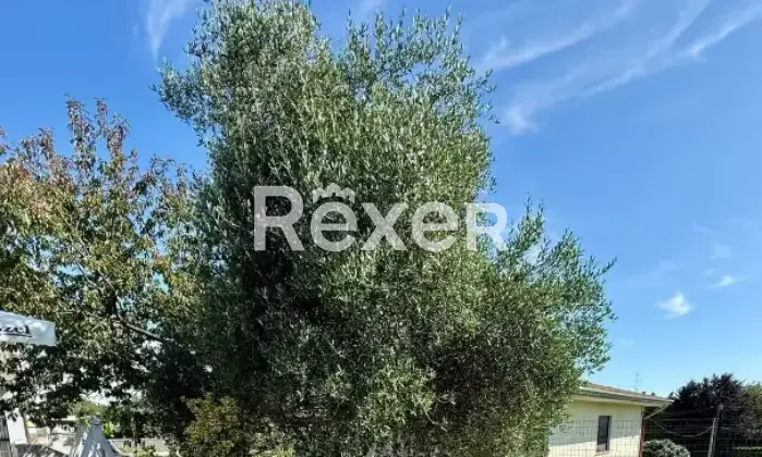 Rexer-Divignano-Villa-in-vendita-in-Via-Agostino-Luogo-a-Divignano-Altro