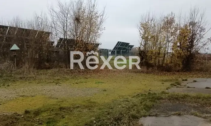 Rexer-Castelnuovo-Bormida-Cascina-in-vendita-in-Via-Roma-a-Castelnuovo-Bormida-Altro