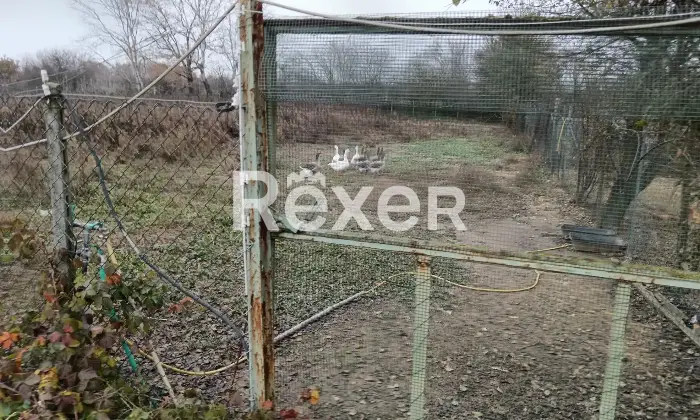 Rexer-Castelnuovo-Bormida-Cascina-in-vendita-in-Via-Roma-a-Castelnuovo-Bormida-Altro
