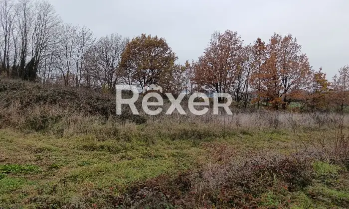 Rexer-Castelnuovo-Bormida-Cascina-in-vendita-in-Via-Roma-a-Castelnuovo-Bormida-Altro