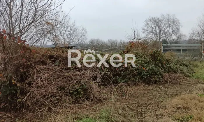 Rexer-Castelnuovo-Bormida-Cascina-in-vendita-in-Via-Roma-a-Castelnuovo-Bormida-Altro