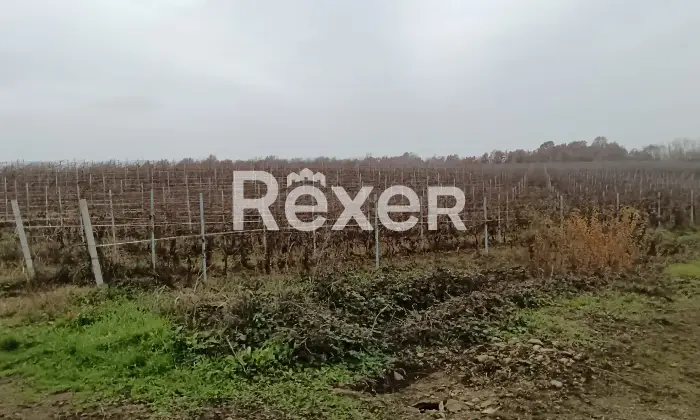 Rexer-Castelnuovo-Bormida-Cascina-in-vendita-in-Via-Roma-a-Castelnuovo-Bormida-Altro