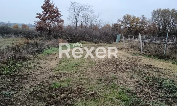 Rexer-Castelnuovo-Bormida-Cascina-in-vendita-in-Via-Roma-a-Castelnuovo-Bormida-Altro