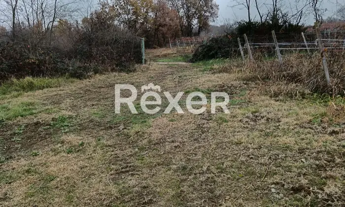 Rexer-Castelnuovo-Bormida-Cascina-in-vendita-in-Via-Roma-a-Castelnuovo-Bormida-Altro