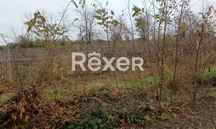 Rexer-Castelnuovo-Bormida-Cascina-in-vendita-in-Via-Roma-a-Castelnuovo-Bormida-Altro