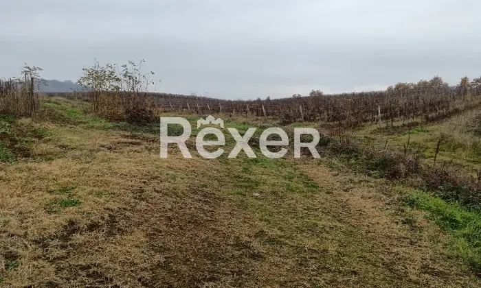 Rexer-Castelnuovo-Bormida-Cascina-in-vendita-in-Via-Roma-a-Castelnuovo-Bormida-Altro