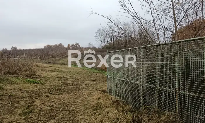 Rexer-Castelnuovo-Bormida-Cascina-in-vendita-in-Via-Roma-a-Castelnuovo-Bormida-Altro
