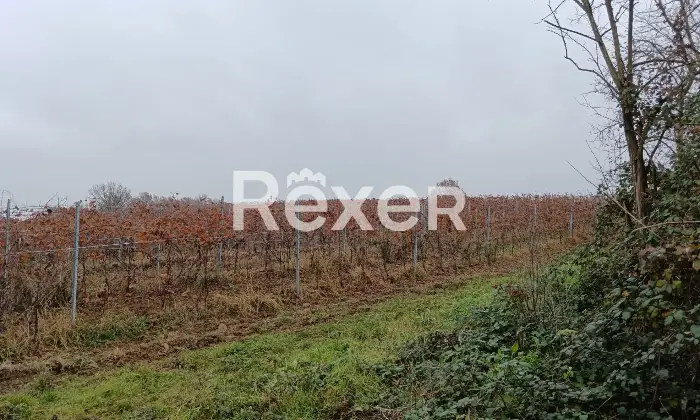 Rexer-Castelnuovo-Bormida-Cascina-in-vendita-in-Via-Roma-a-Castelnuovo-Bormida-Altro