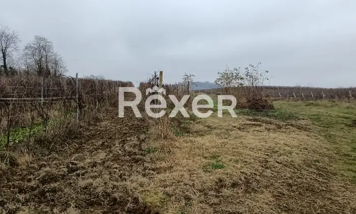 Rexer-Castelnuovo-Bormida-Cascina-in-vendita-in-Via-Roma-a-Castelnuovo-Bormida-Altro